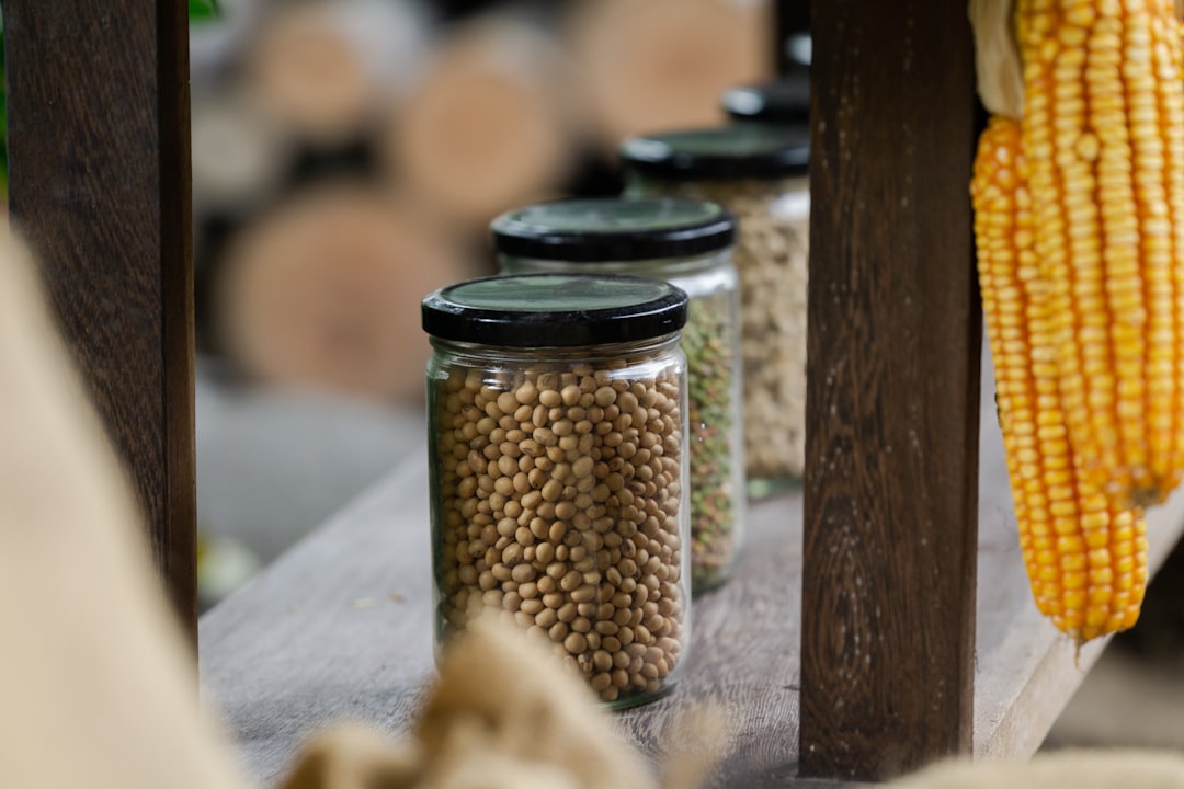 How to Store Food Properly: A Simple Guide to Keep Your Food Fresh Longer